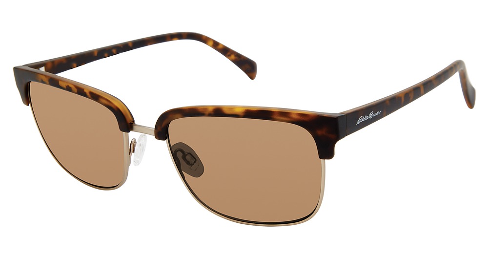 Tortoise / Brown Polarized