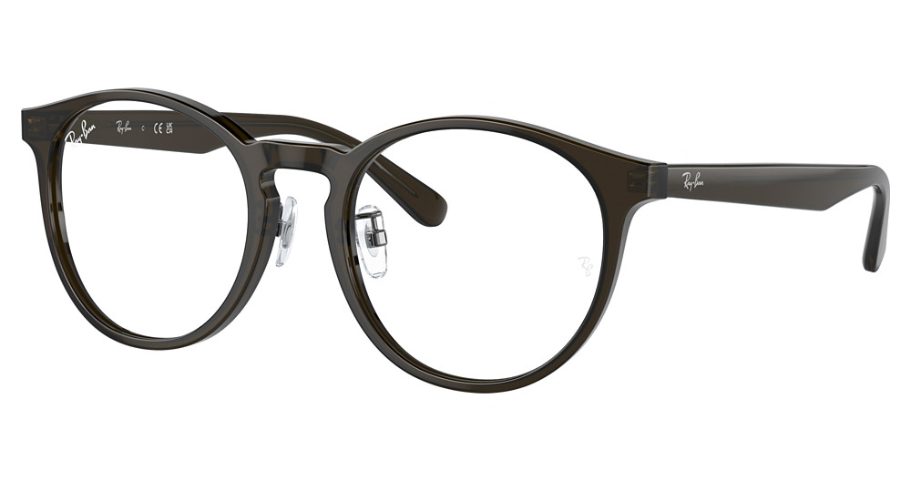 Ray-Ban RX5401D round eyeglasses in Transparent Green