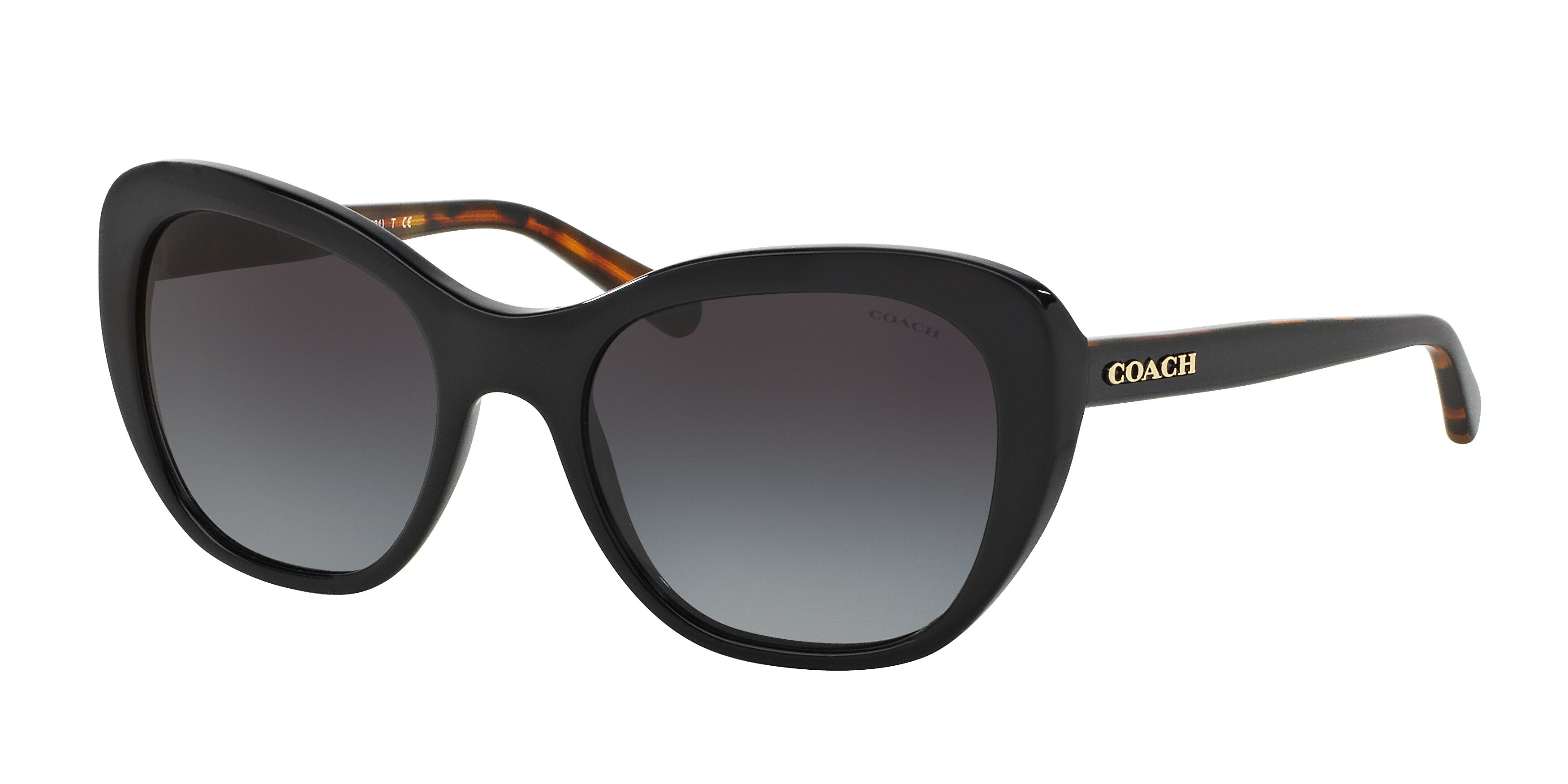 BLACK/ BLACK TORTOISE