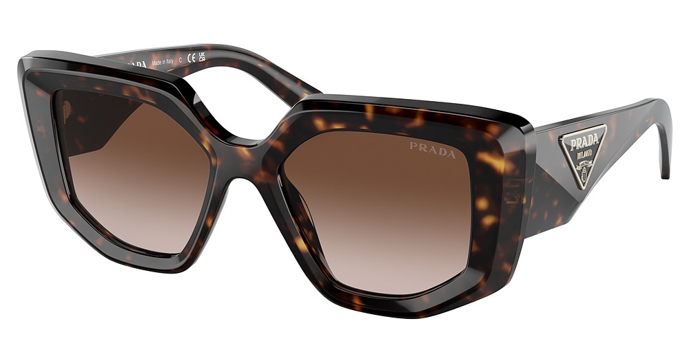 TORTOISE / BROWN GRADIENT