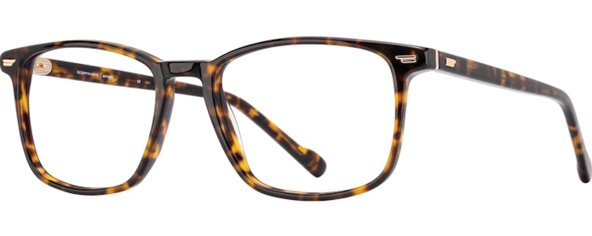 Tortoise / Gold