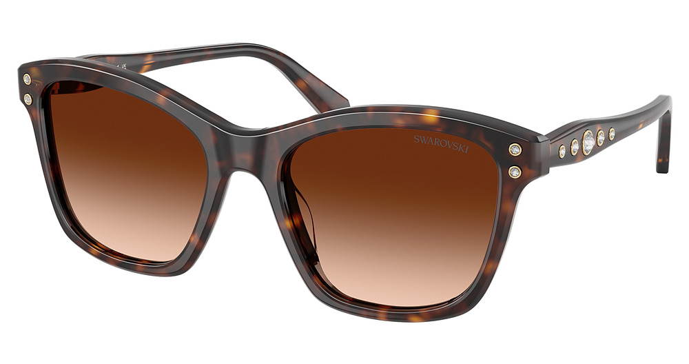 HAVANA / GRADIENT BROWN