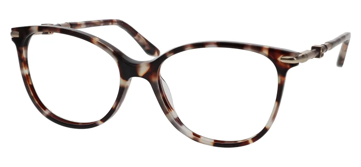 BLACK TORTOISE