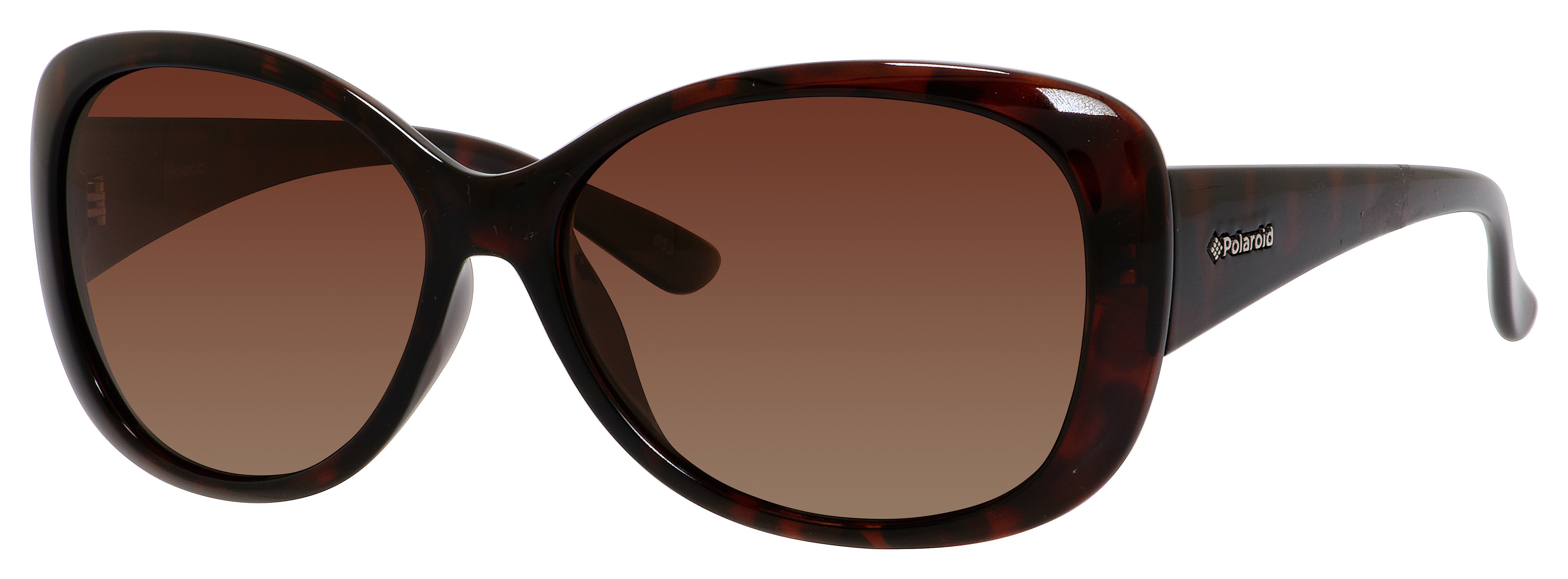 B- Havana (LA Brown Gradient Polz)