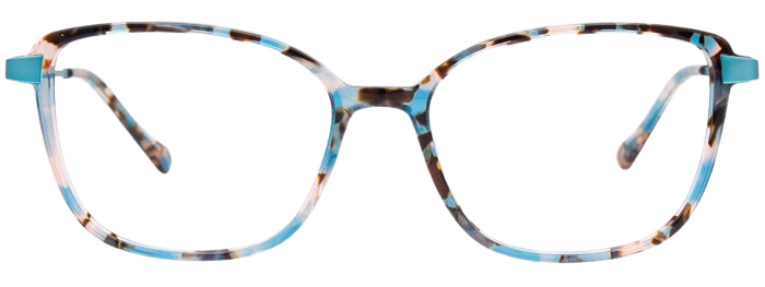 Aqua & Brown