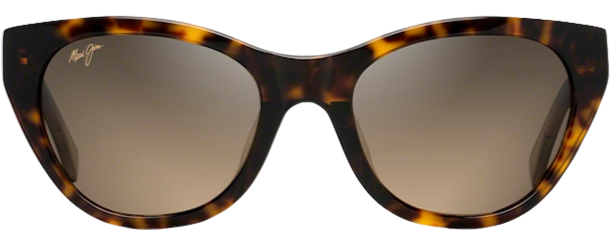 Tortoise with Transparent Tan Temples