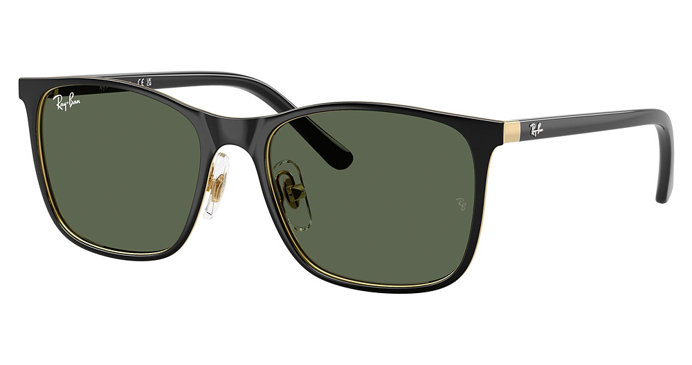 Ray-Ban RJ9551S round sunglasses in Black on Arista/Dark Green
