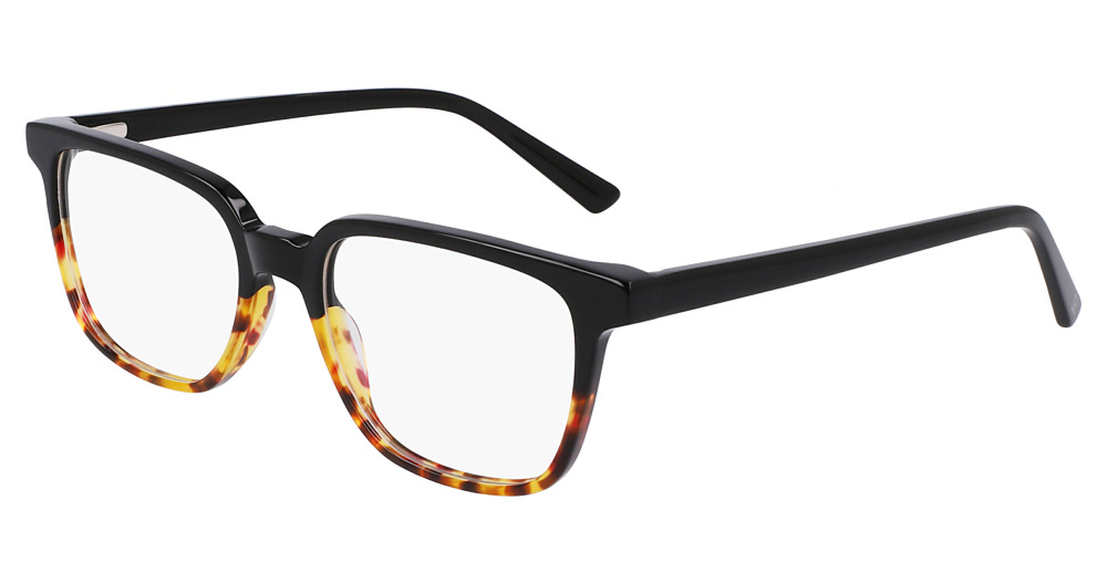 BLACK TORTOISE
