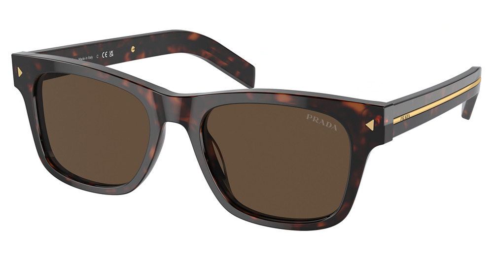 RADICA TORTOISE / DARK BROWN