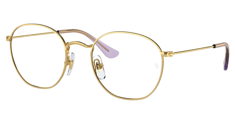 Ray-Ban RY9572V JUNIOR ROB round eyeglasses in Arista