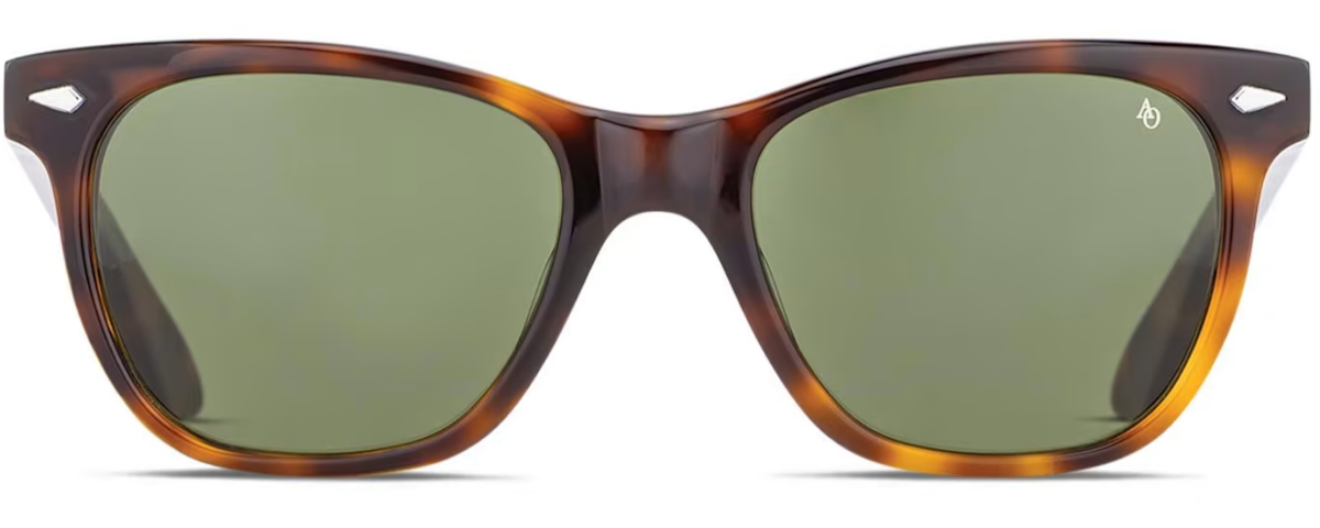 Tortoise / Frame Only