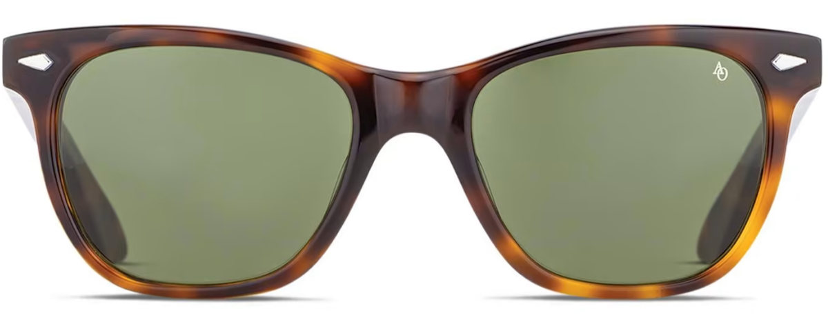 Tortoise / Frame Only