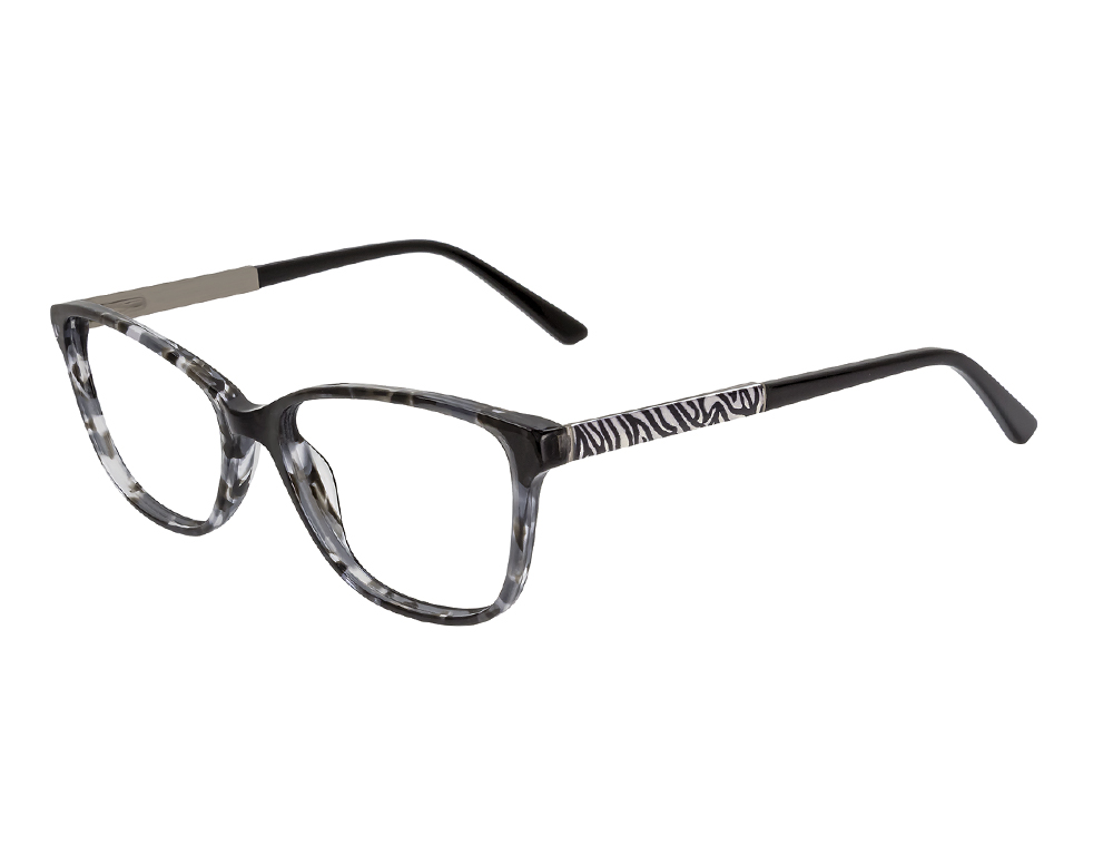 Black Tortoise