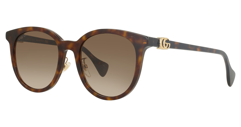 HAVANA-HAVANA-BROWN / BROWN