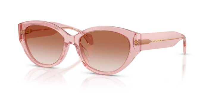 PEACH TRANSPARENT / PINK GRADIENT