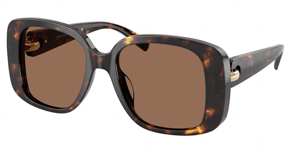 BROWN TORTOISE / BROWN