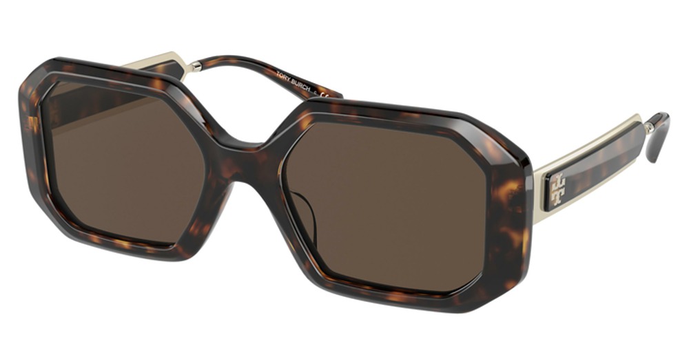 DARK TORTOISE / SOLID DARK BROWN