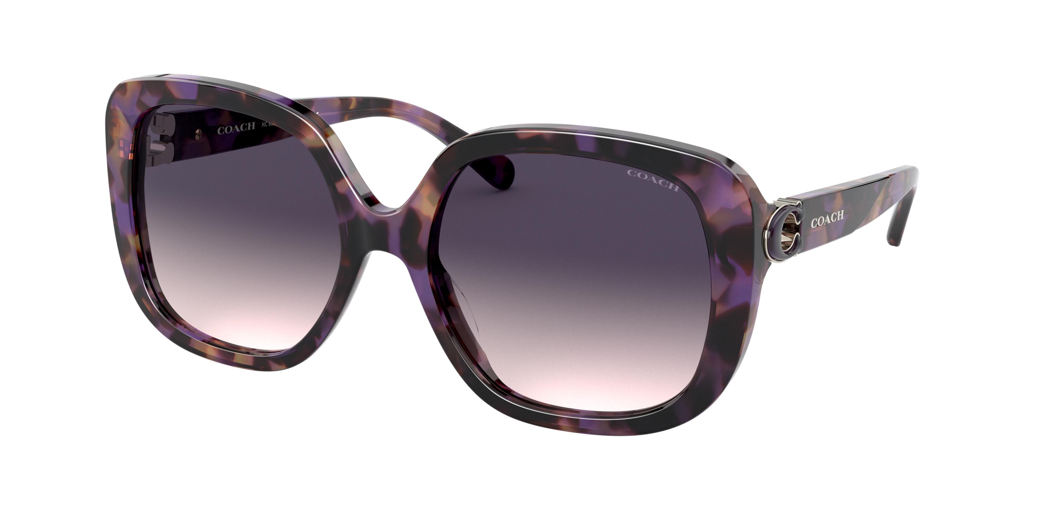 PURPLE TORTOISE