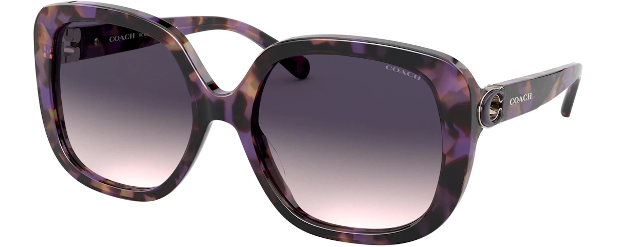 PURPLE TORTOISE