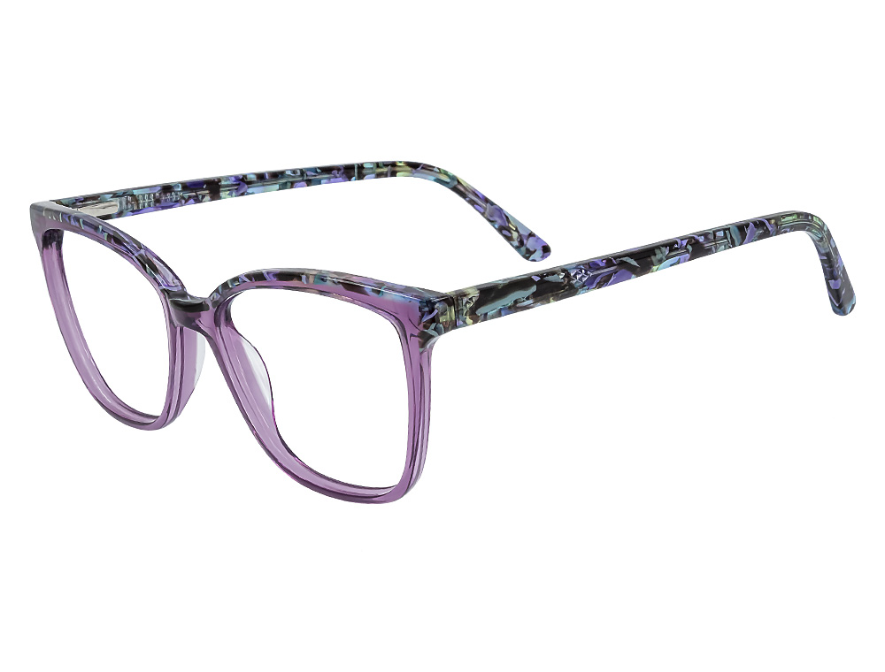 Teal Tortoise/Plum