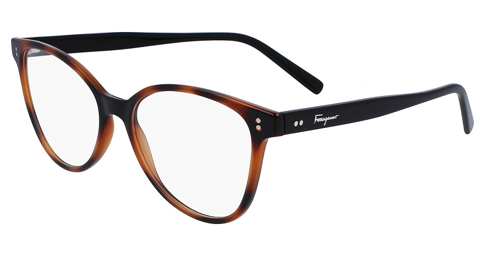 TORTOISE/BLACK