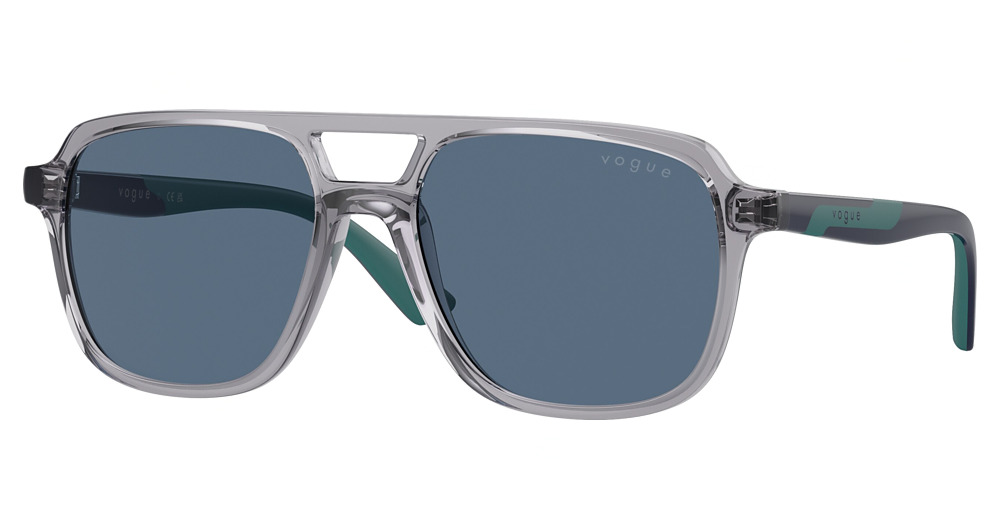 TRANSPARENT GREY / DARK BLUE