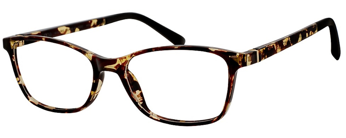 New Tortoise