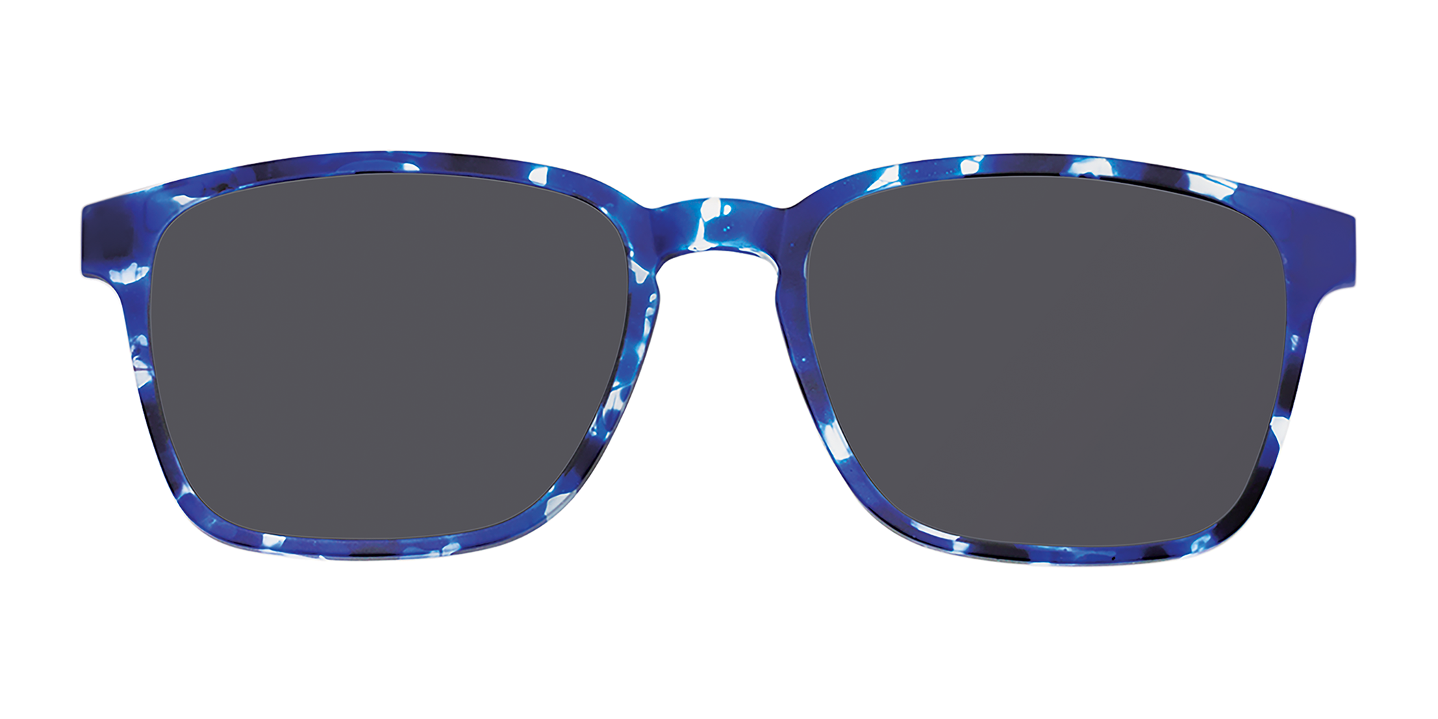BLUE TORTOISE
