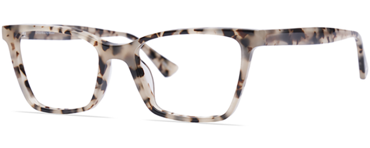 White Tortoise