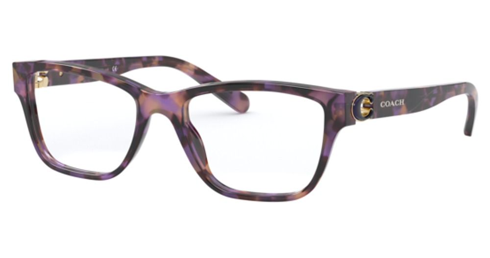 PURPLE TORTOISE