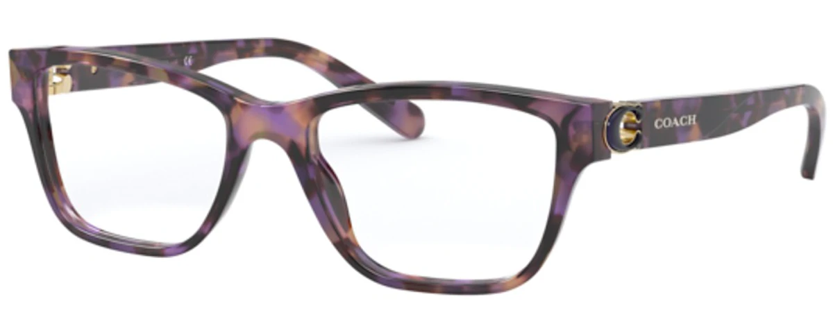 PURPLE TORTOISE