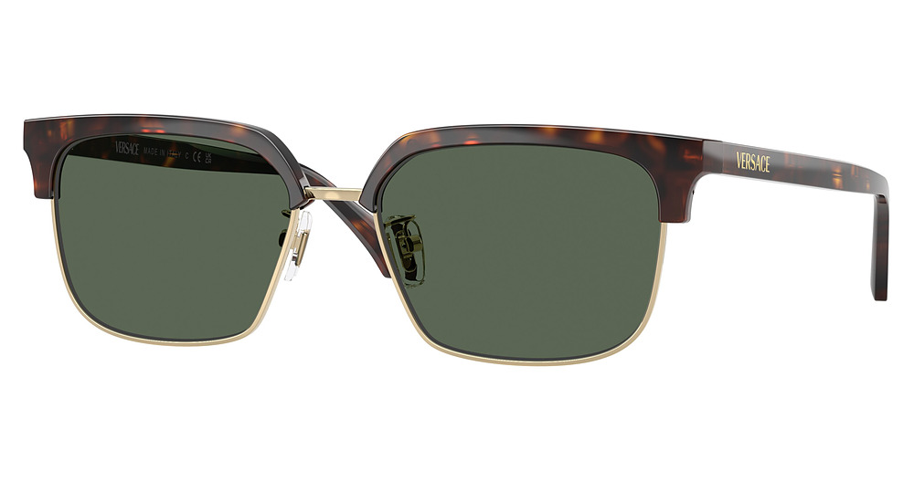 DARK HAVANA / DARK GREEN