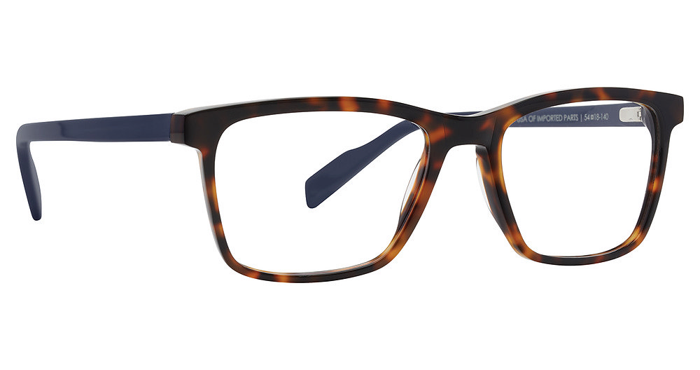 TORTOISE/BLUE