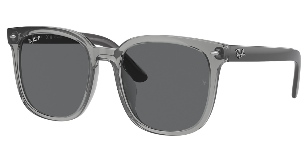 TRANSPARENT GREY / DARK GREY POLAR