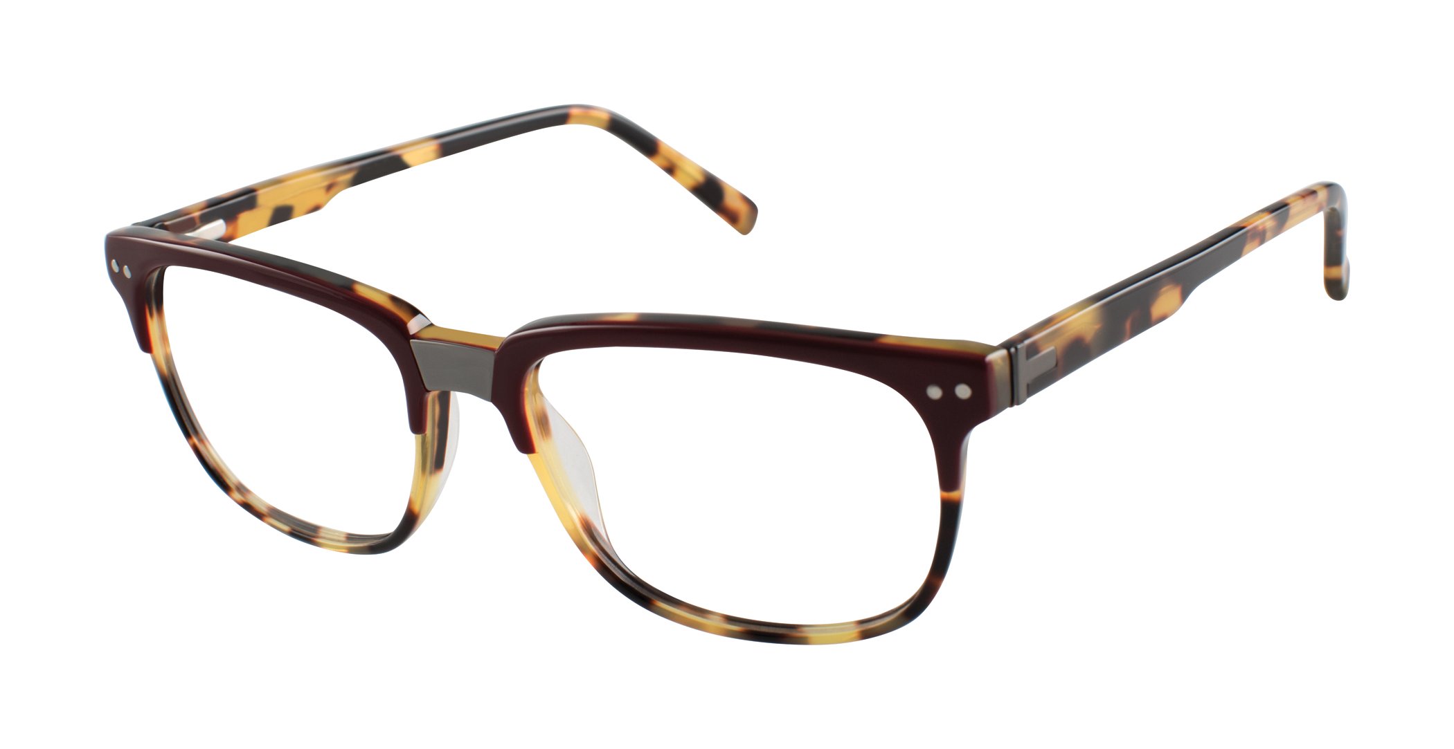 Burgundy Tortoise