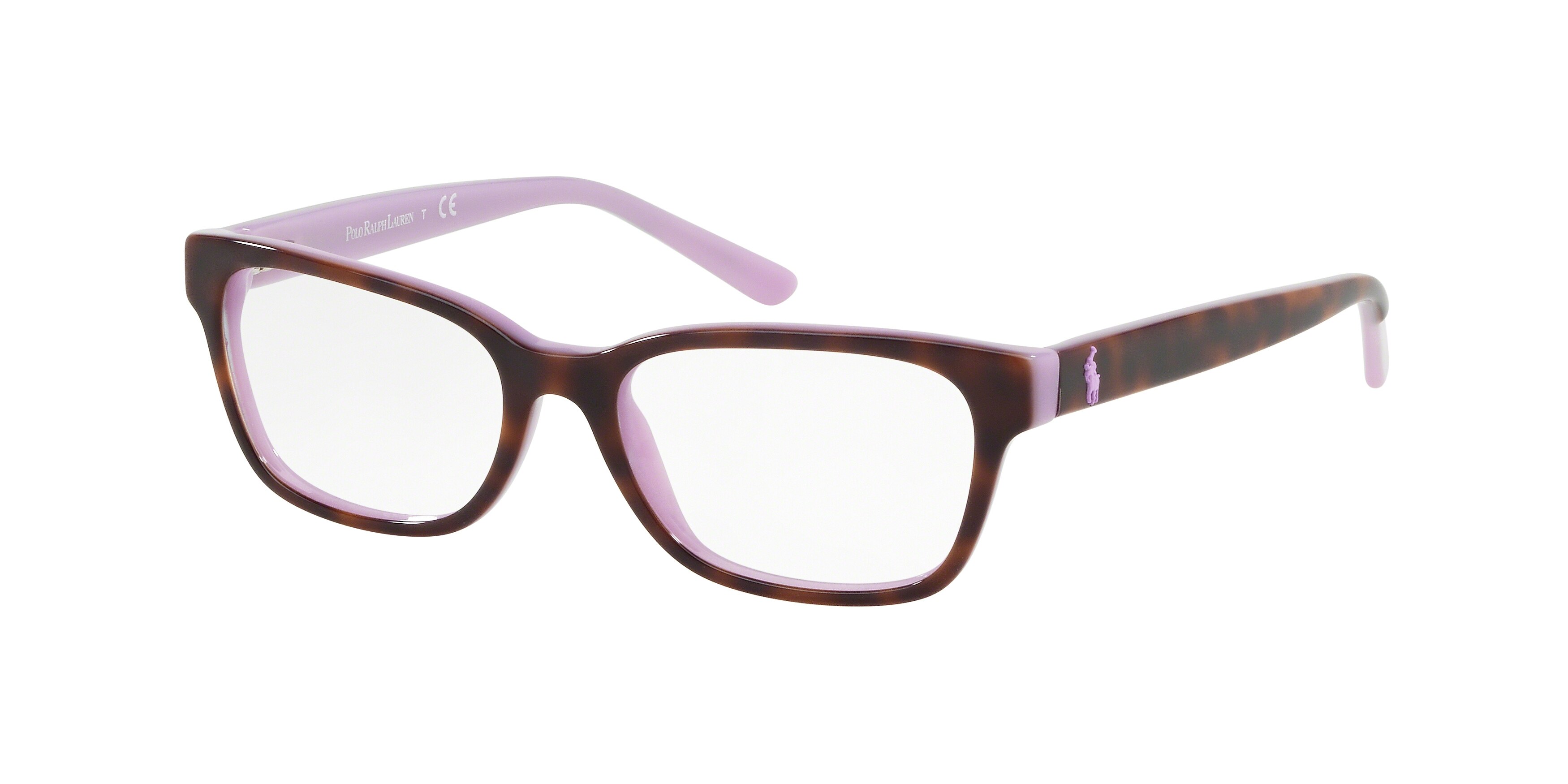 SHINY DARK HAVANA ON VIOLET