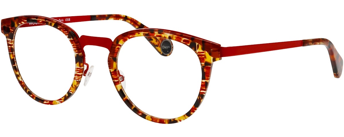 TEXTURE TORTOISE