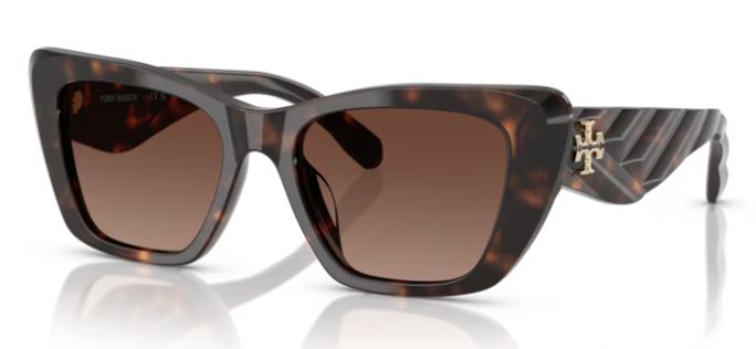 DARK TORTOISE / BROWN POLAR