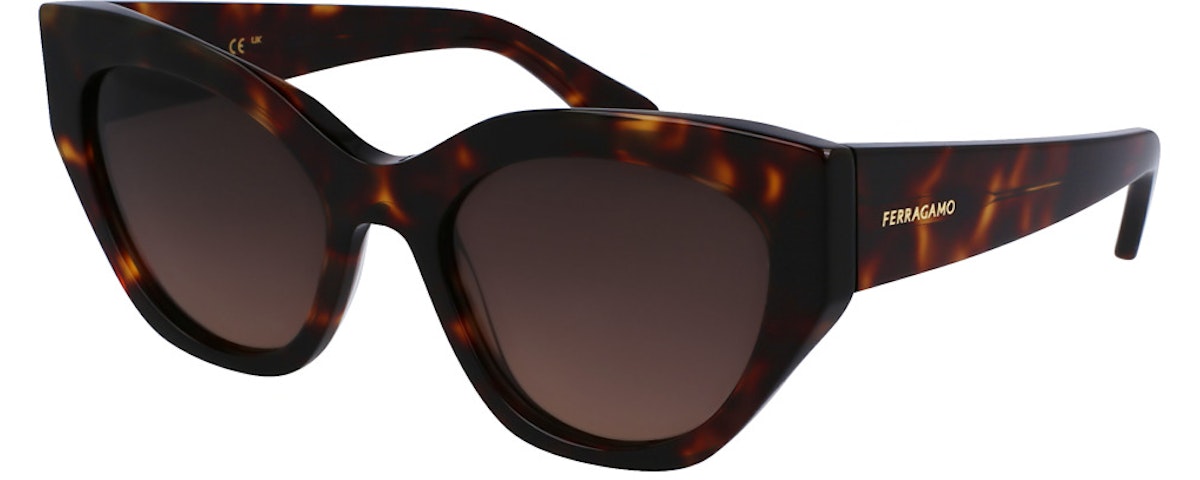 DARK TORTOISE
