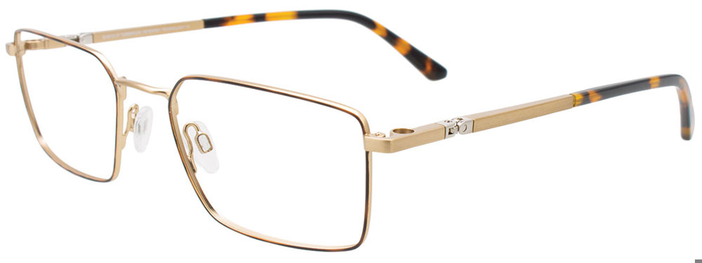 Tortoise & Gold