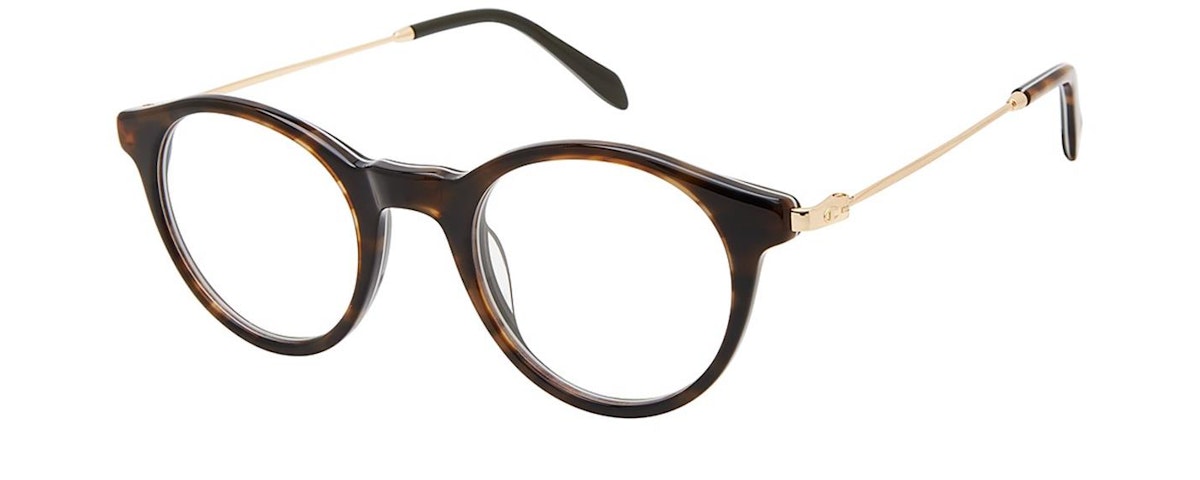 TORTOISE/GOLD