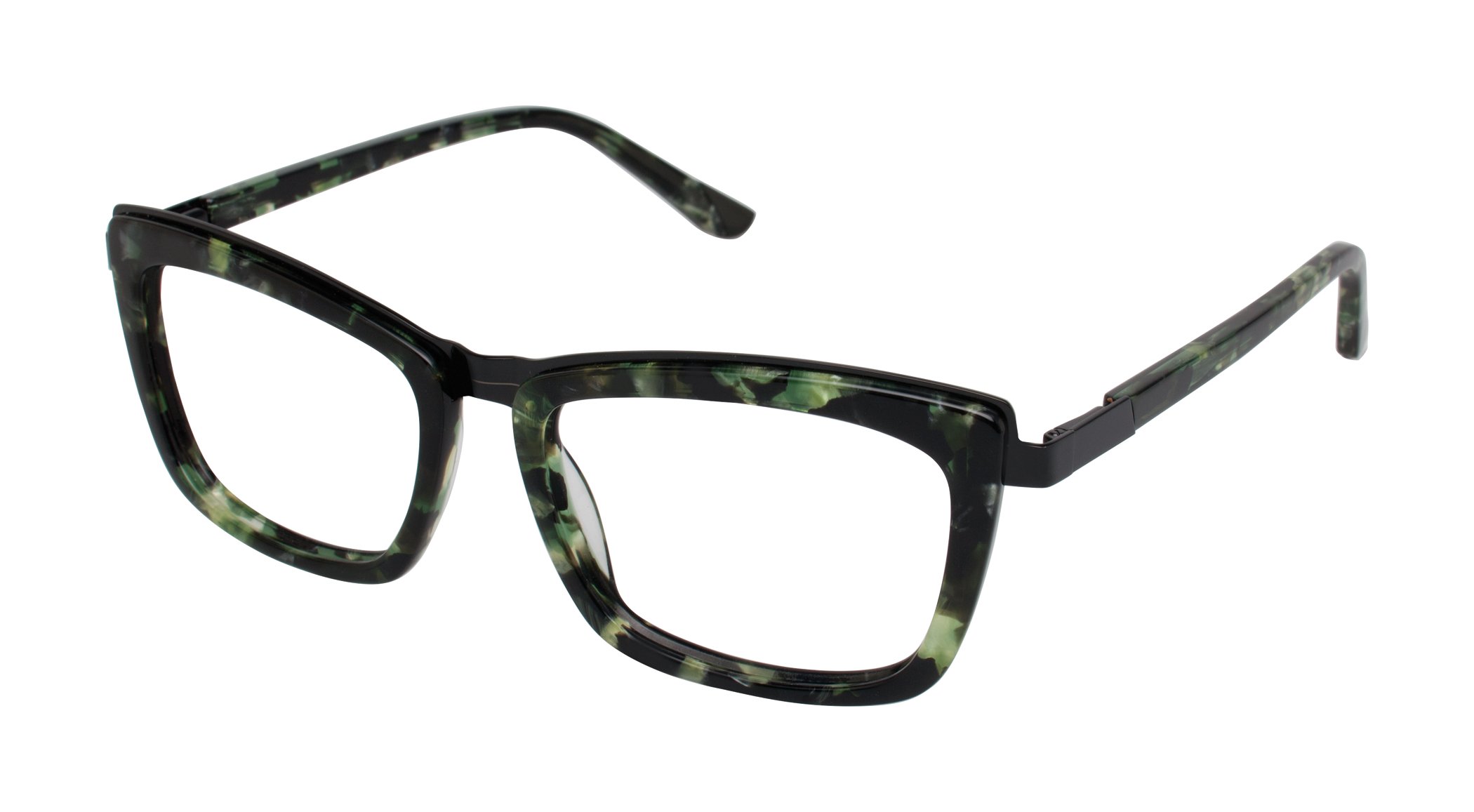 Olive Tortoise