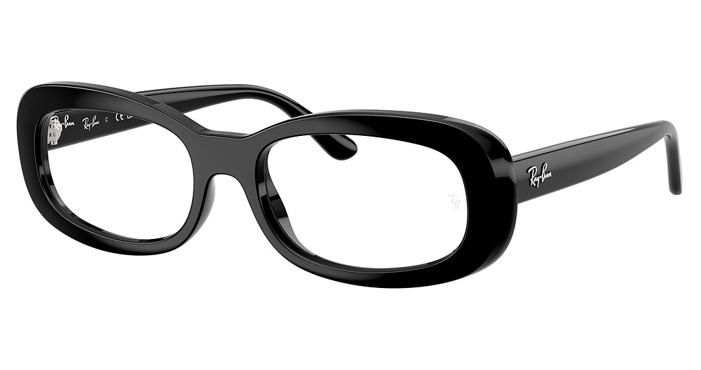 Ray-Ban RX2221V round eyeglasses in Black