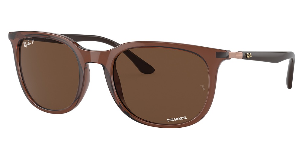 Ray-Ban RB4386 round sunglasses in Transparent Brown/Polarized Brown
