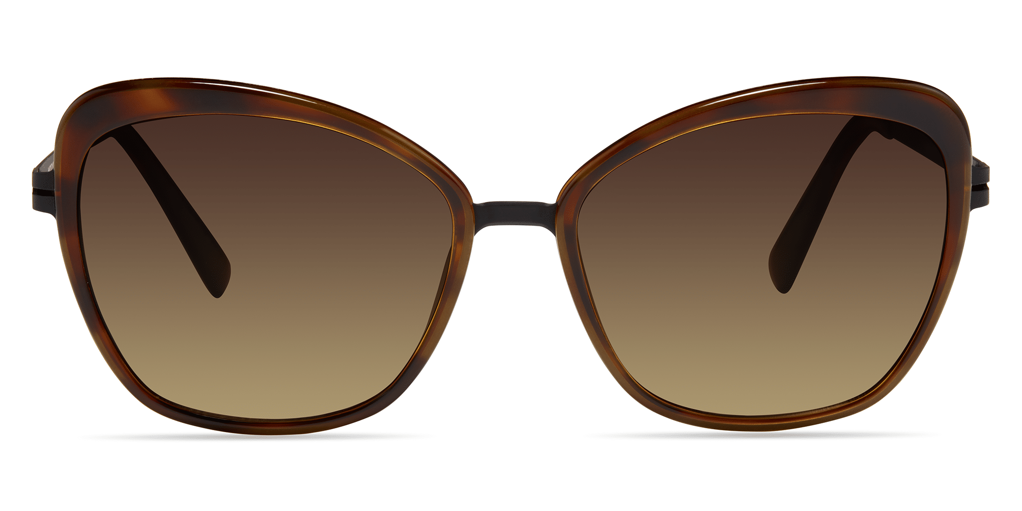 Modo 468 round sunglasses in Tortoise Sun Lens Cat. 3