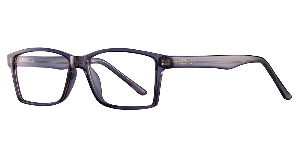 Gray/Tortoise