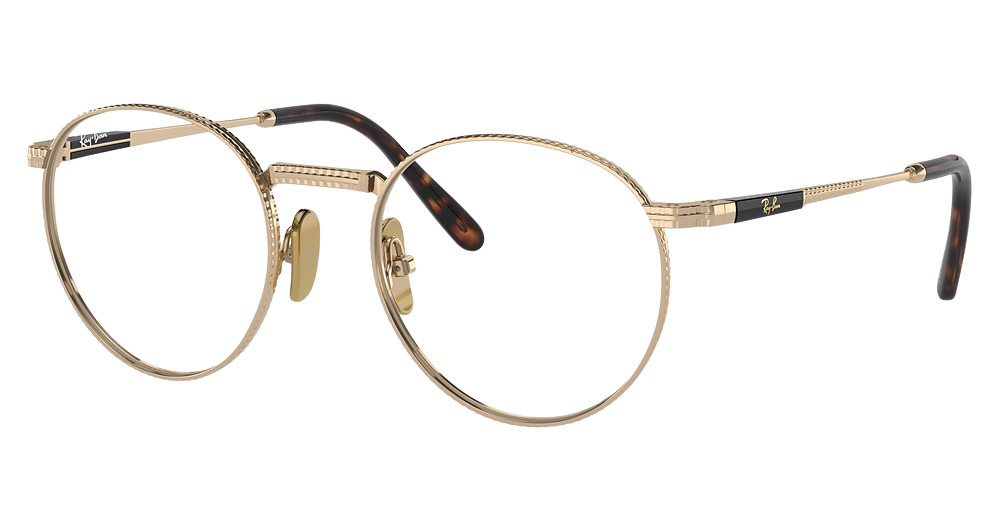 Ray-Ban RX8237V ROUND TITANIUM round eyeglasses in Arista