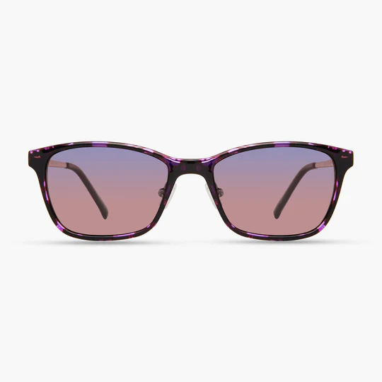 Dark Purple / Gold
