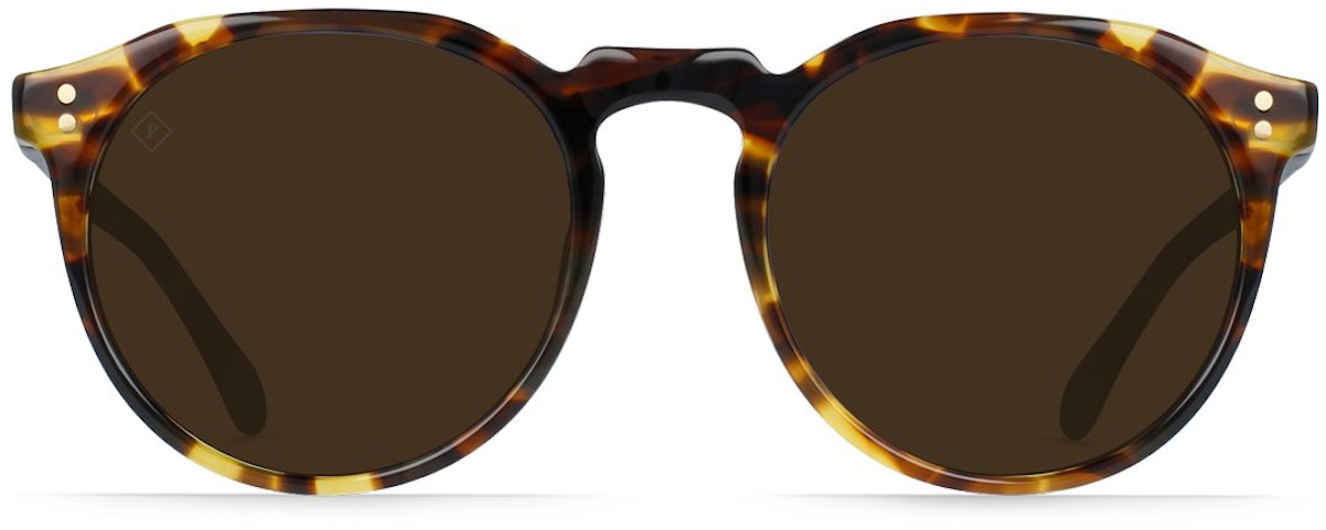 Tokyo Tortoise / Bronze Polarized