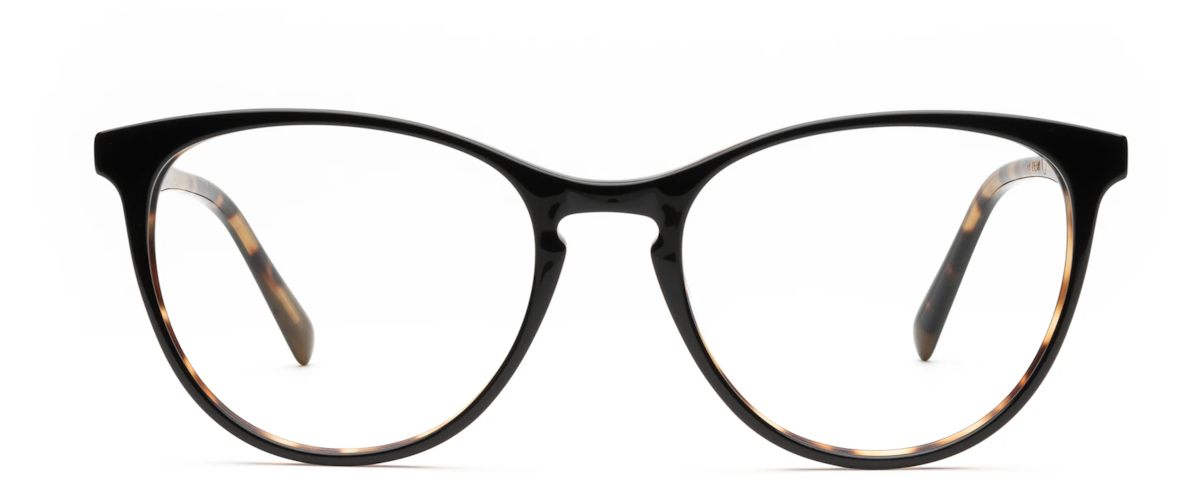 Black Tortoise